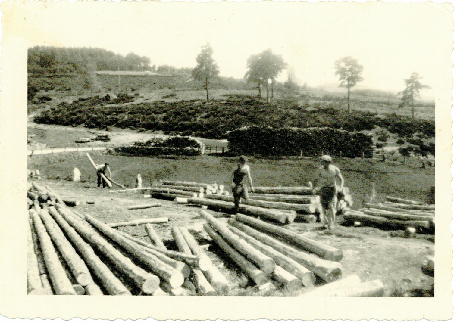 Accueil - Bois & scierie de Fontans